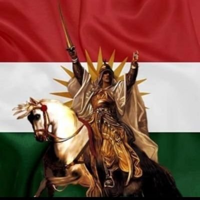 0xbrhnbtmn's profile picture. Hun Kurd in. 
Zarokên we jî Kurd in?
