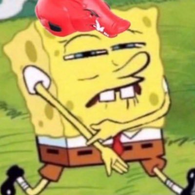 xXStockeyyXx's profile picture. @DallasStars @ArkRazorbacks @AustinFC @SpursOfficial