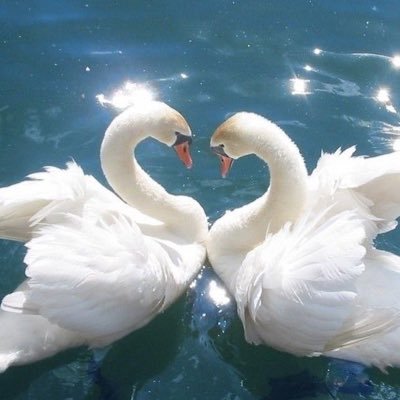 _becomeimmortal's profile picture. 