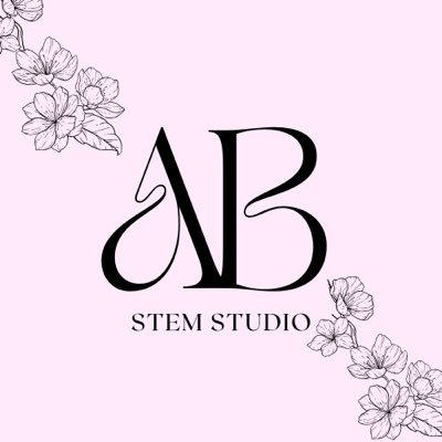 a_b_stemstudio's profile picture. 
