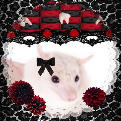 empty96mind's profile picture. 💢 𝖕.𝖎/𝖘𝖜: 𝟕𝟐𝖐𝖌 • 𝖒𝖋/𝖚𝖌𝖜: 𝟒𝟕-𝟑𝟕𝖐𝖌 🔪 pt • eng 🐈‍⬛ 月夜の晩に甦るこの苦しみ 🌡️𝟒𝟕𝟓𝐲𝐨 🎹

i laught with -xxx- sorry