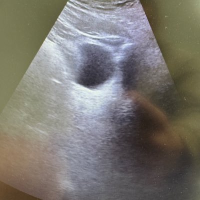 Levelout36's profile picture. 