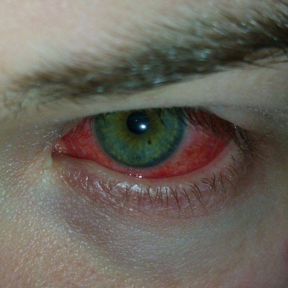 farheenshah2's profile picture. Nitrograph