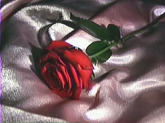 smokedbmc's profile picture. You're like another fire-breathing creature