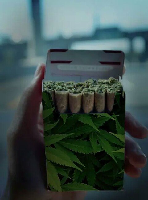 teresavaliente3's profile picture. Pásenme un Marlboro de los rojos