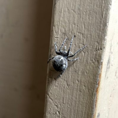 gothin907's profile picture. HARRIS/WALZ! HARRIS/WALZ! HARRIS/WALZ!! #Resist #FuckTrump #Blue22 #BlackLivesMatter #LGBTQ #420Friendly *NO DM’S* ♥️🌊