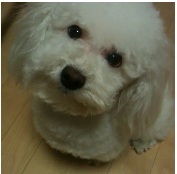 chahyewon's profile picture. Game Designer