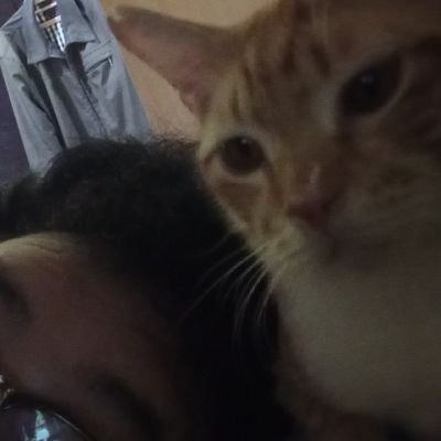 nerekygy's profile picture. .