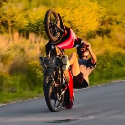 faculopez723's profile picture. 🐊