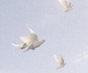 MonicaFati's profile picture. You want a feature, then nigga, just say that (Yeah, yeah, say that)