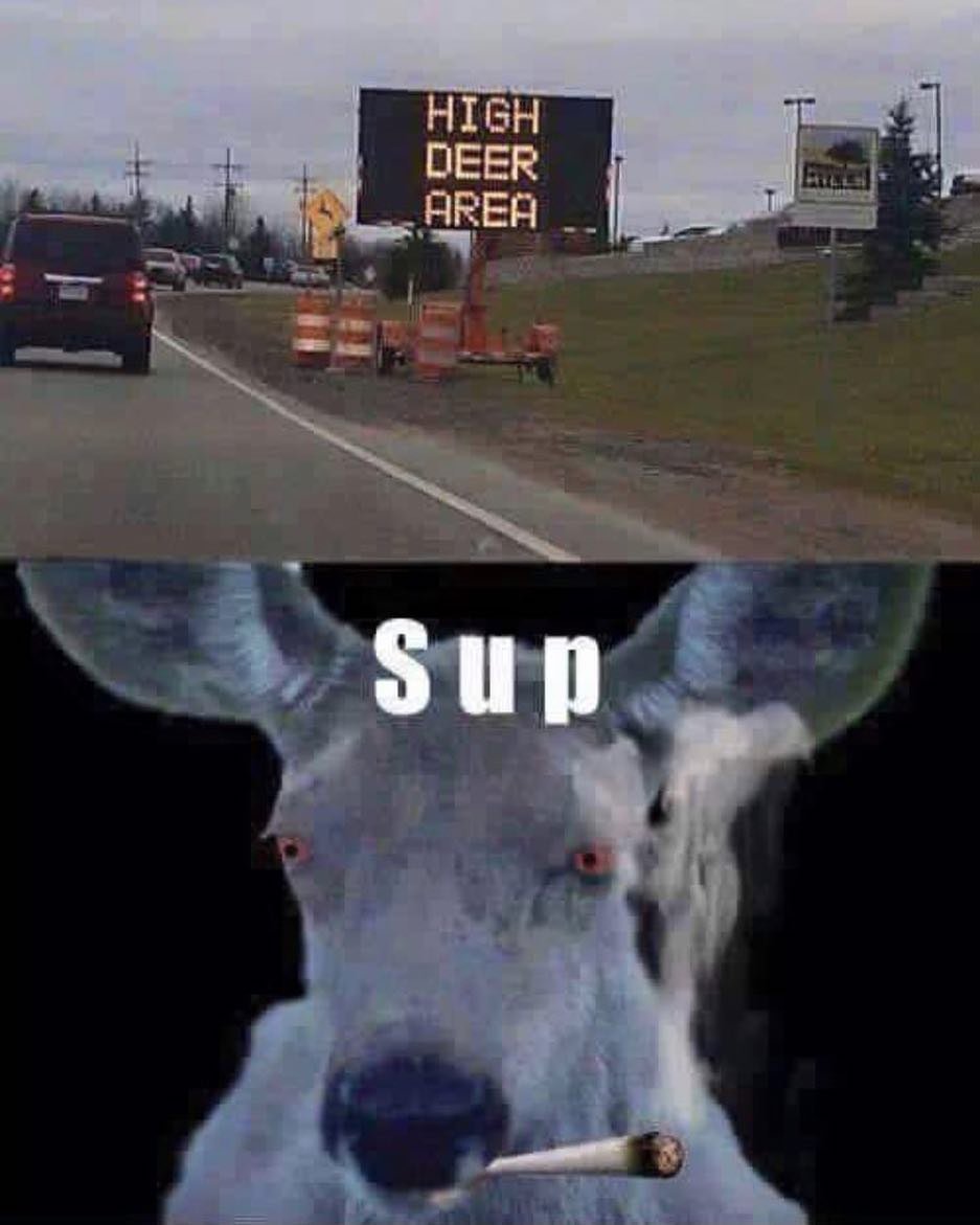 RosieCoe95's profile picture. Te meto el McGrady y no e' Tracy (Black, jeje)