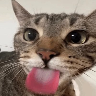 CvltOfChrissy's profile picture. Formerly (RealestChrissy) 🏴󠁧󠁢󠁥󠁮󠁧󠁿 🇬🇧 🇪🇺 liberal