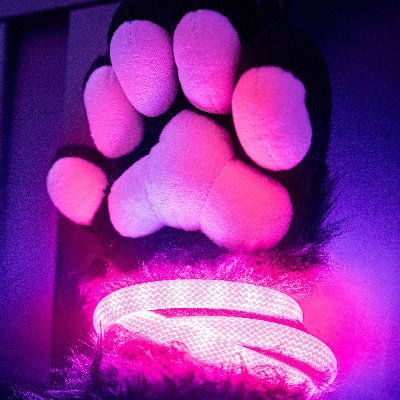 Ravelights's profile picture. 