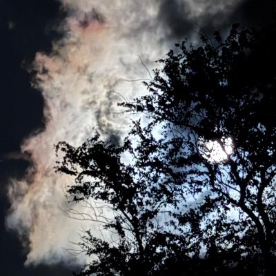 XYZReacts's profile picture. 