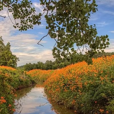 AReshitko1's profile picture. 