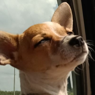 LeJessさんのプロフィール画像