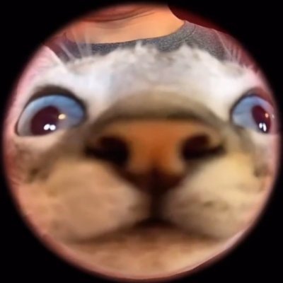 timedpayload's profile picture. 