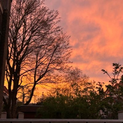 Winnie74712649's profile picture. 