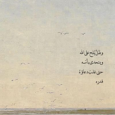 nsoA51's profile picture. كحب عابر وكوردة فالليل تُنسى