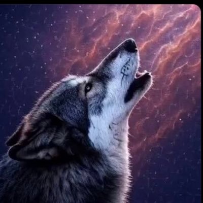 fateemahmusa889's profile picture. I love my mom