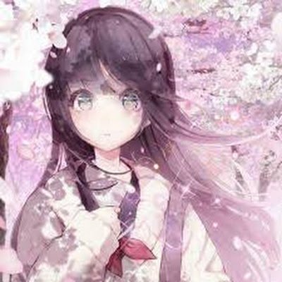 ynsyns966617's profile picture. 