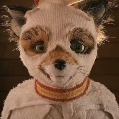 Fantasticmsshad's profile picture. اللهم صلِّ على محمد وعلى آل محمد