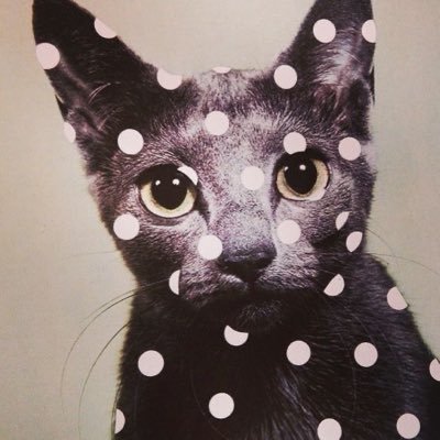 bratsummers's profile picture. 