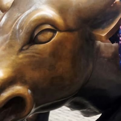 EliasDi60969764's profile picture. 