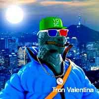 voidfii's profile picture. Venture capitalist