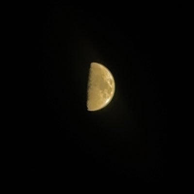 mangopudding192's profile picture. 
