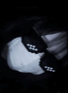 kong_risa37560's profile picture. 良かったら絡んでください 🦋࿐⋆* ↦ https://t.co/wts3h5MJ87