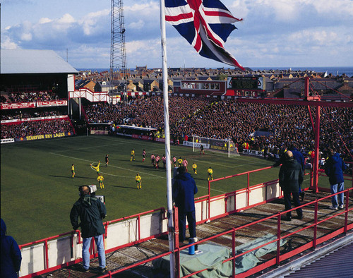 onedavidwilson's profile picture. 