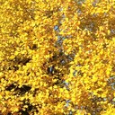 Aman Jaswal - @AmanJaswal - Twitter