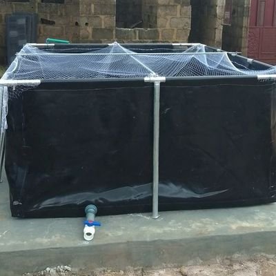 olaoyenitun's profile picture. A farmer, Chelsea fan.