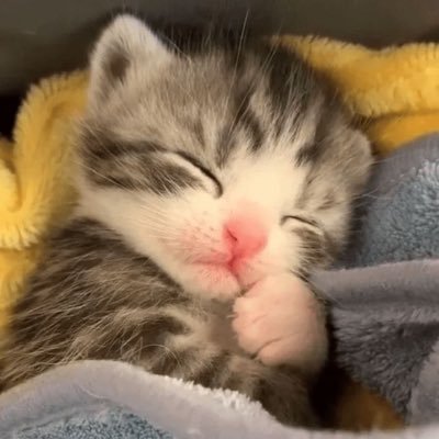 deslecheadit's profile picture. 22 years old