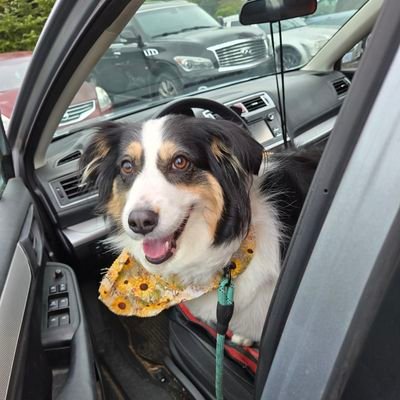 RebeccaBruns7's profile picture. 