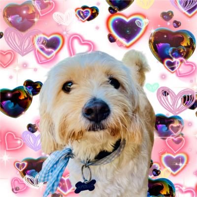 hueningfabi's profile picture. odio desvelarme, odio madrugar, en conclusión, odio estar despierta