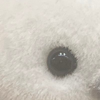 takotako_l's profile picture. 28歳男性すとーりー