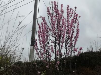 Gg8989626937105's profile picture. 