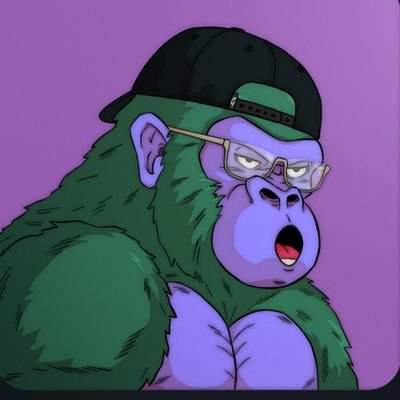 xein_ggs's profile picture. Owner of Ronke #550