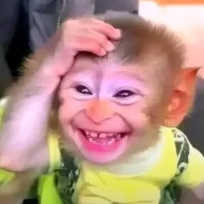 ailthekid's profile picture. 