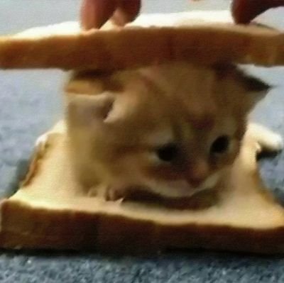 janelods's profile picture. 