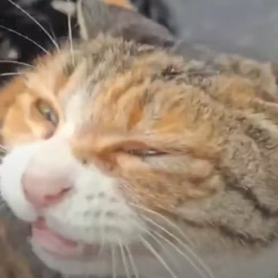 vibewithchart's profile picture. thank god for everything I skipping school to trade fulltime no i dont use pa hanging out in https://t.co/Gz5q7sCJ1c