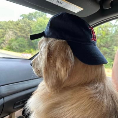 juanrboussinot's profile picture. 