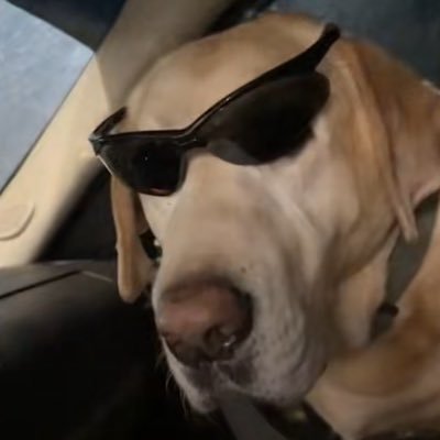 motionusername's profile picture. 