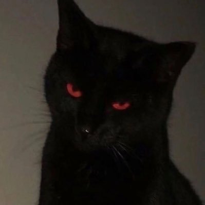 juiceynft's profile picture. 2:156