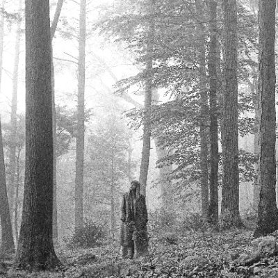 RodrigoGranate1's profile picture. Nicaraguense.