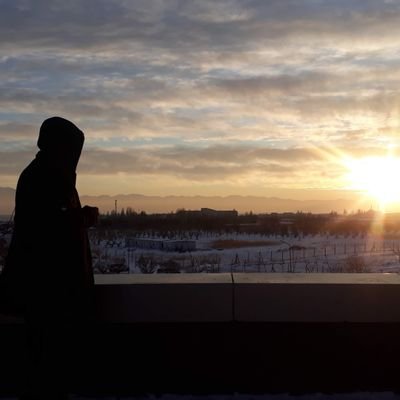 _Ro_Av_'s profile picture. Ezmanên şîn bihûşte ji bo xeyalan.
Ax ew zincîrên lingan,
Ax ew birînên bask û milan.