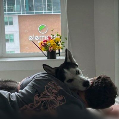 ChaserTail00's profile picture. Furry Darwin always showing  Love and pleasure ❣️🐾.  Get subscribed for Exclusive Dropbox packages and to join our group and channel 
https://t.co/6OasCdqNlX
