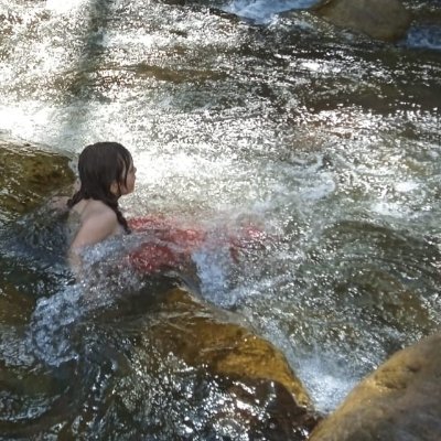 HotelPau801's profile picture. La increíble experiencia de vivir la selva. La experiencia de tokenizarla y  conservarla. Fractal Bitcoin AguaDulce $AGUA